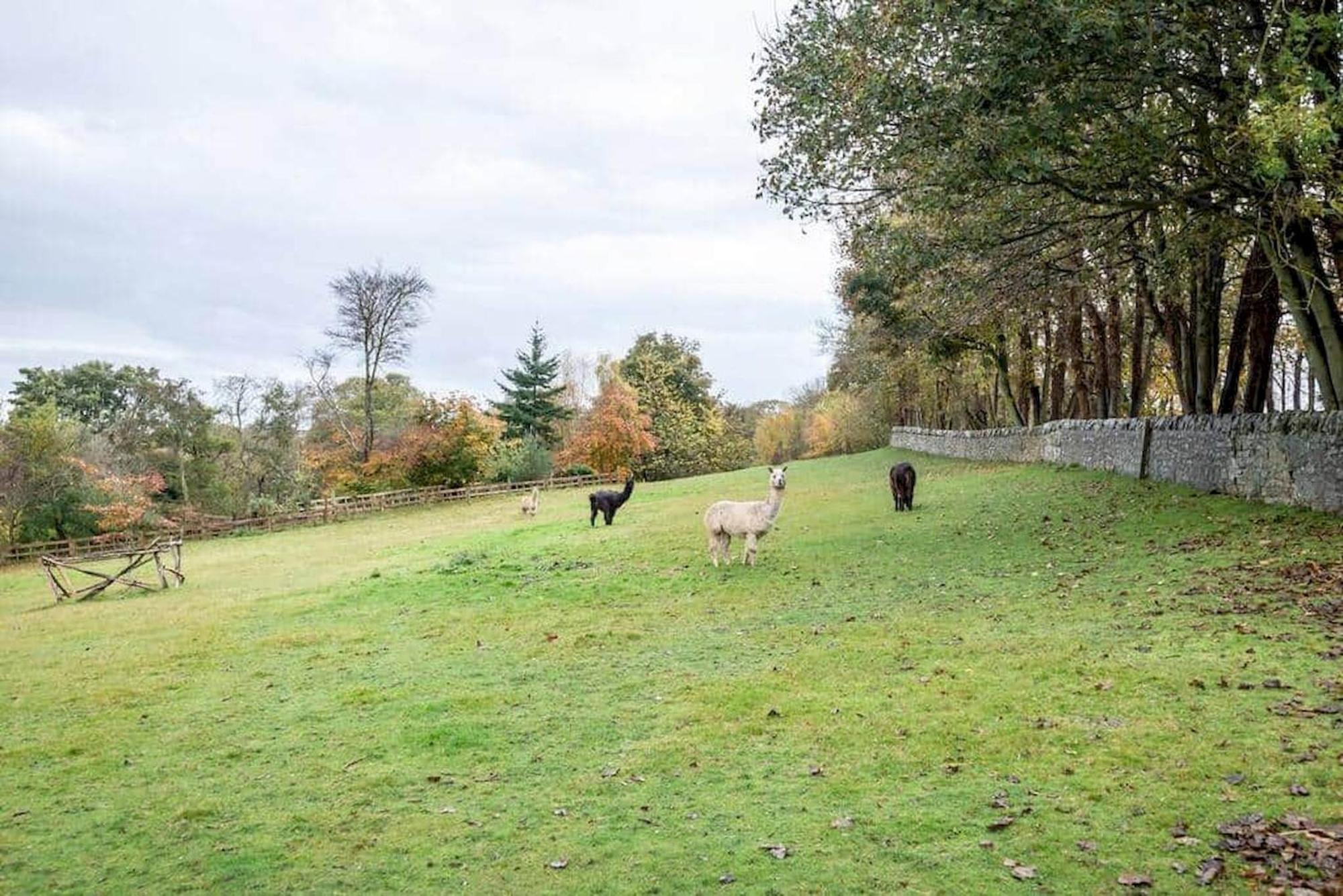 Park View Cottages - The Granary Boarhills Bagian luar foto